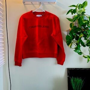 calvin clien crop sweater